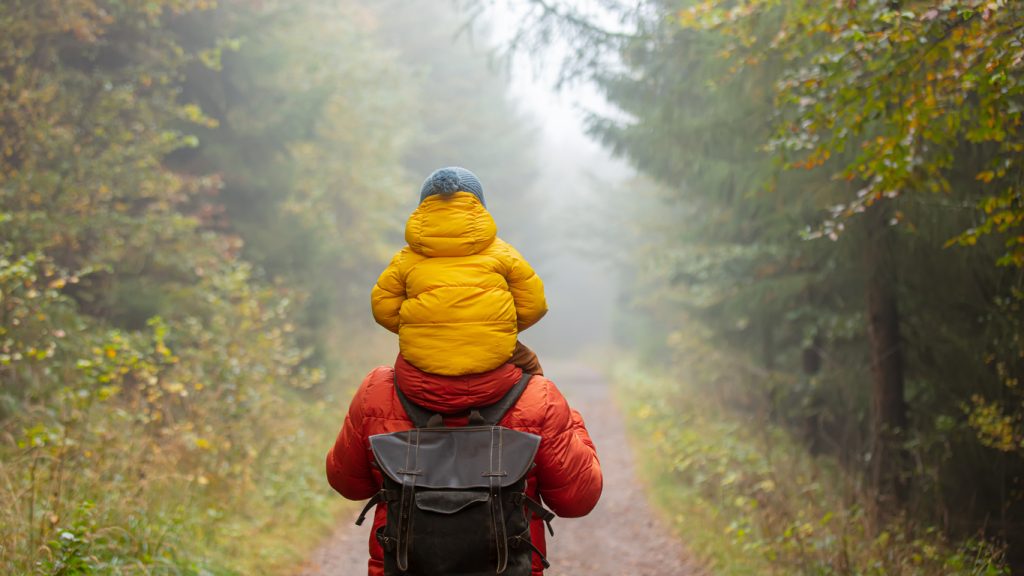 father and son are walking in the autumn forest in fog.